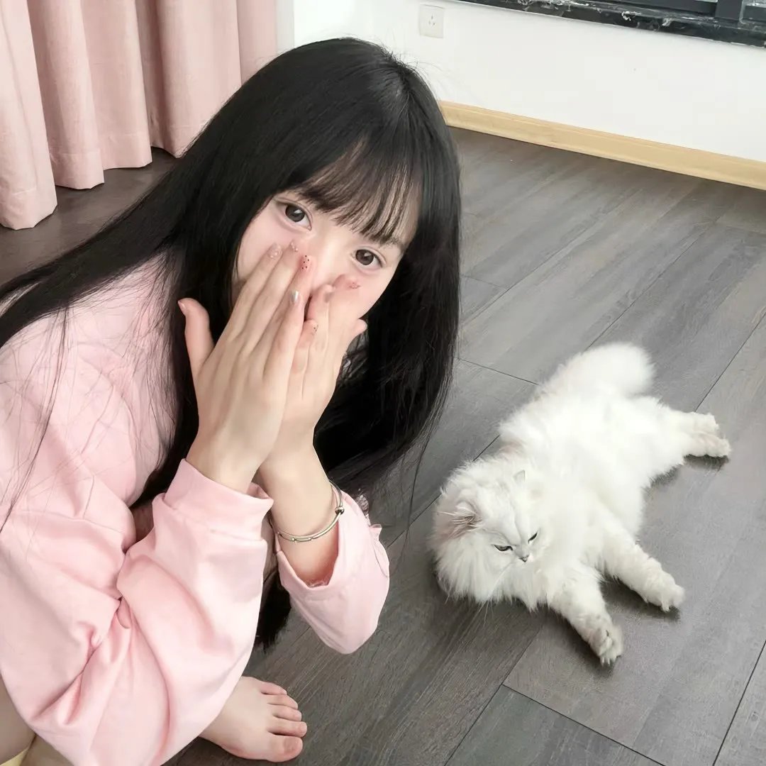 南风知我意